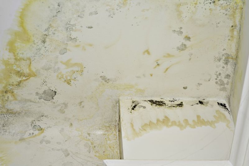 Air Duct Mold Removal in Fort Worth, TX