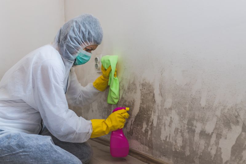 Air Duct Mold Removal in Bergen County, NJ