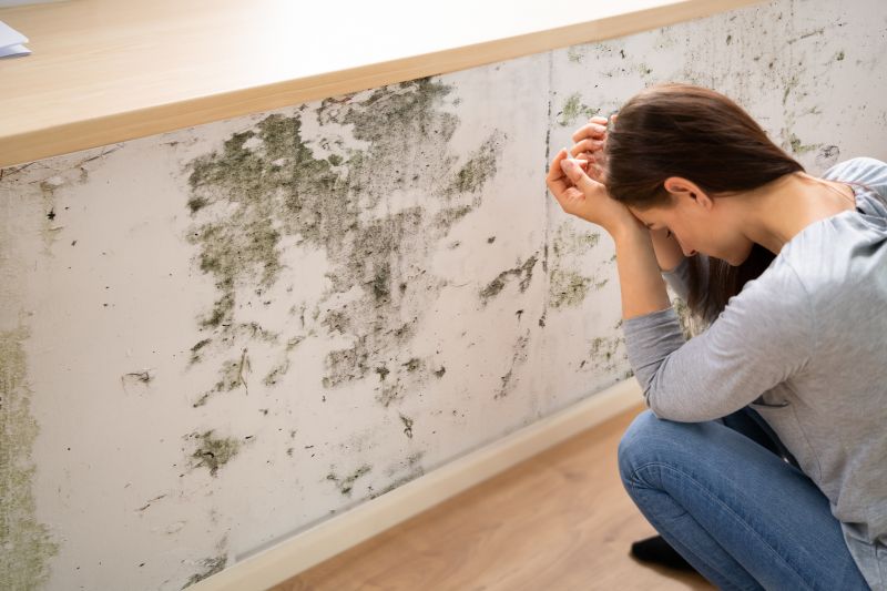 Attic Mold Removal in Broward County, FL