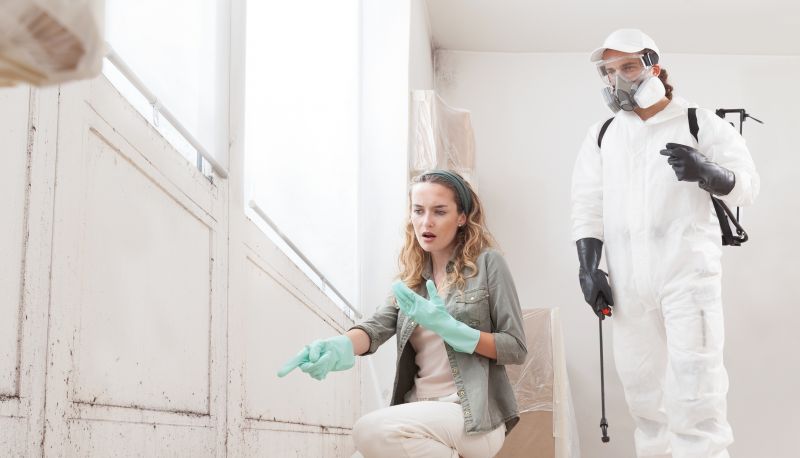 Basement Mold Remediation in Boca Raton, FL