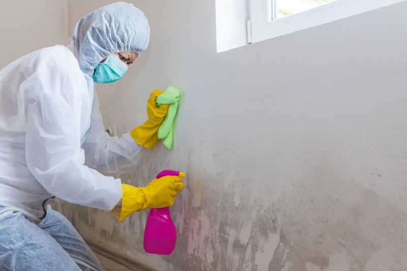 Basement Mold Remediation in Essex County, NJ