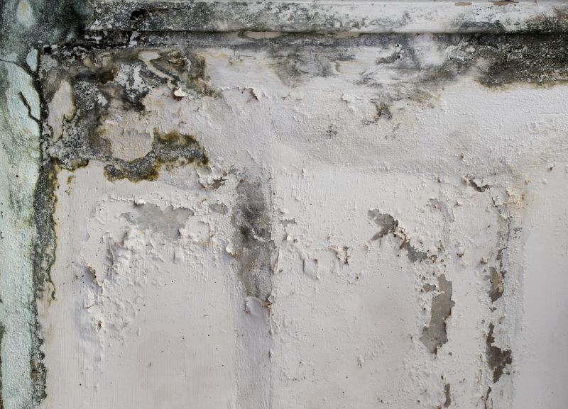 Basement Mold Removal in Frisco, TX