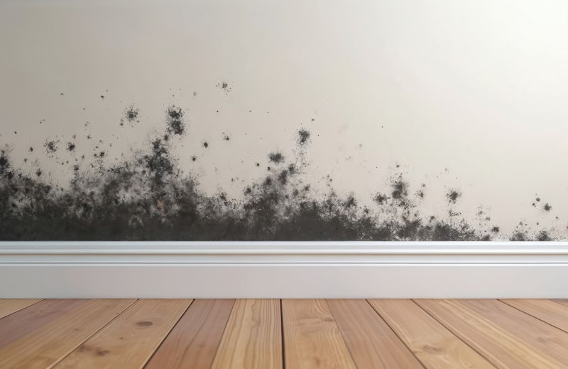 Basement Mold Removal in Frisco, TX