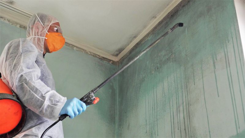 Basement Mold Removal in Jupiter, FL