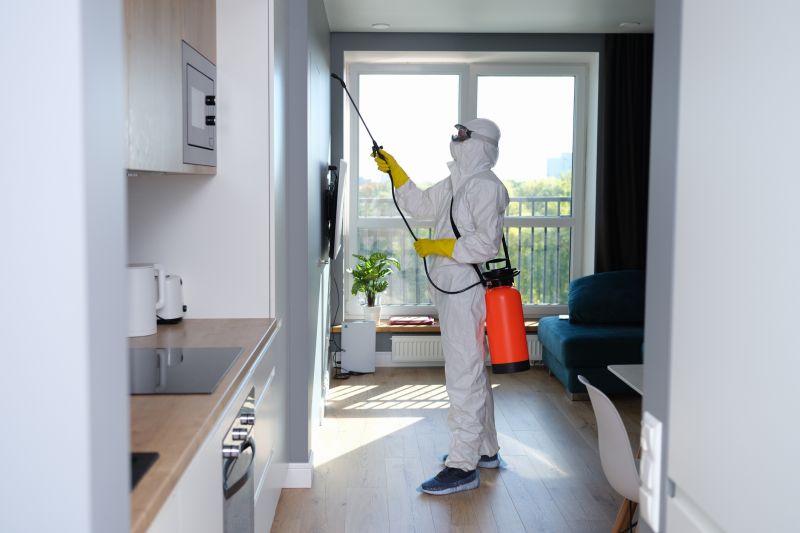 Basement Mold Removal in West Palm Beach, FL