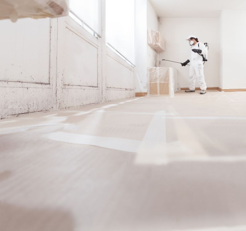 Black Mold Remediation in Dallas, TX