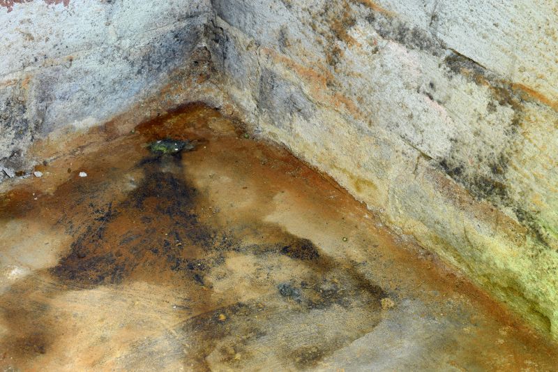 Crawl Space Mold Removal in West Palm Beach, FL