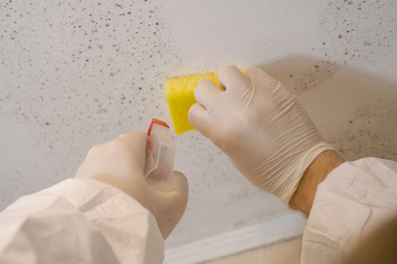 Crawlspace Mold Remediation in West Palm Beach, FL