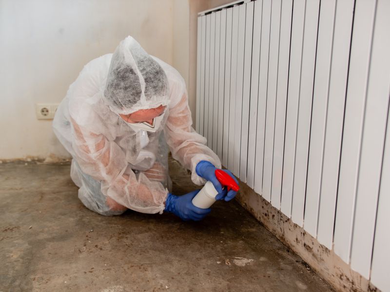 Crawlspace Mold Remediation in Frisco, TX