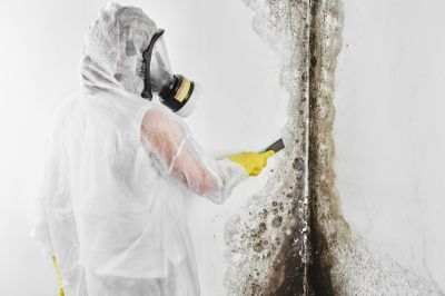 Mold Abatement in Mckinney, TX