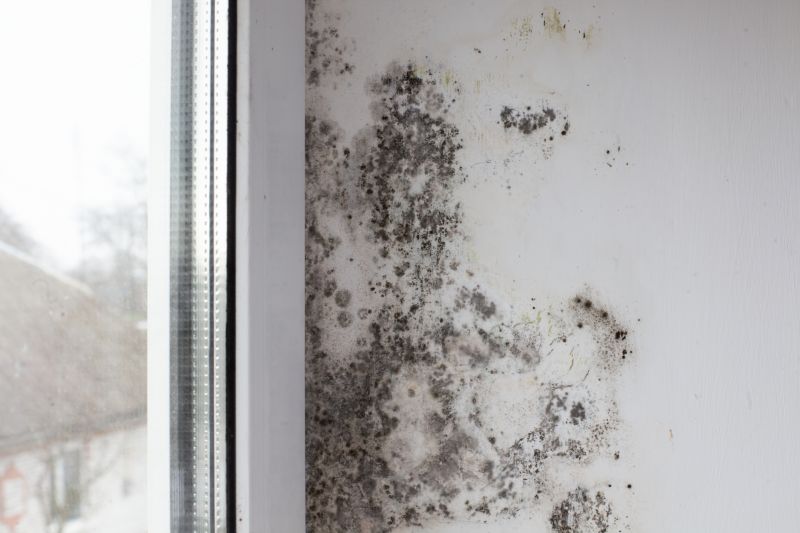 Mold Treatment Service in Frisco, TX