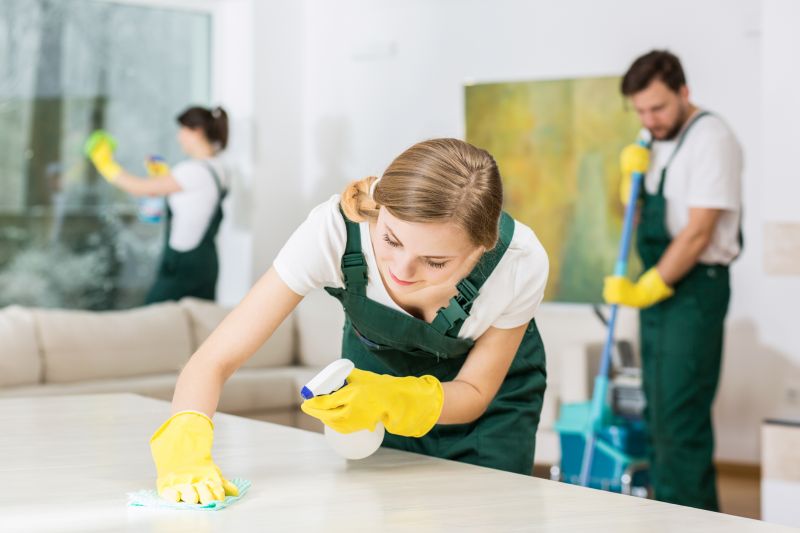Reo Property Cleaning in Puyallup, WA