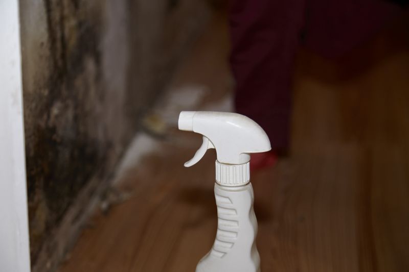 White Mold Mitigation in West Palm Beach, FL