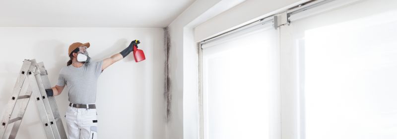 Basement Mold Removal in Jupiter, FL