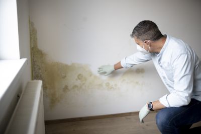 Crawlspace Mold Remediation in Fort Lauderdale, FL