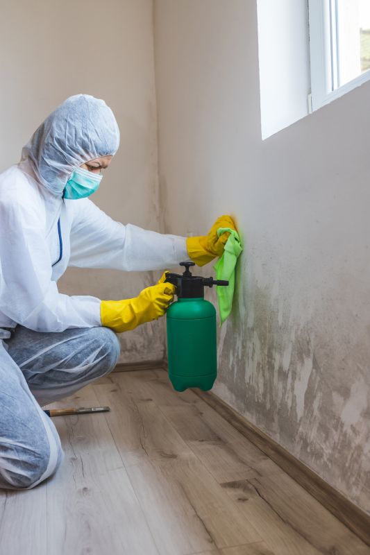 Mold Mitigation Service in Essex County, NJ